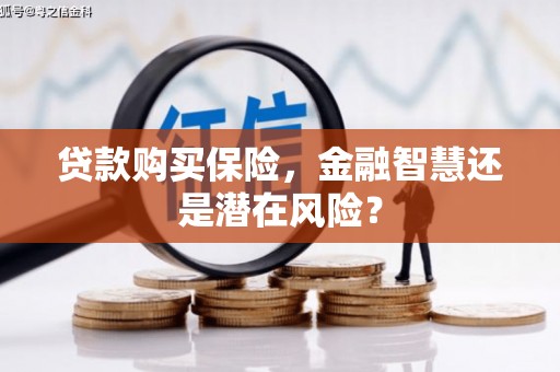 衡阳贷款购买保险，金融智慧还是潜在风险？