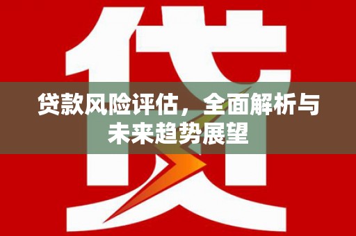 虞城贷款风险评估，全面解析与未来趋势展望