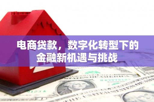 佳木斯电商贷款，数字化转型下的金融新机遇与挑战