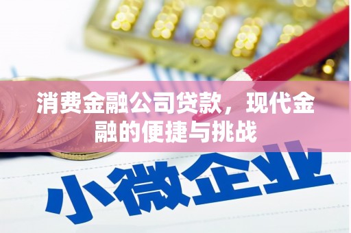 遂昌消费金融公司贷款，现代金融的便捷与挑战