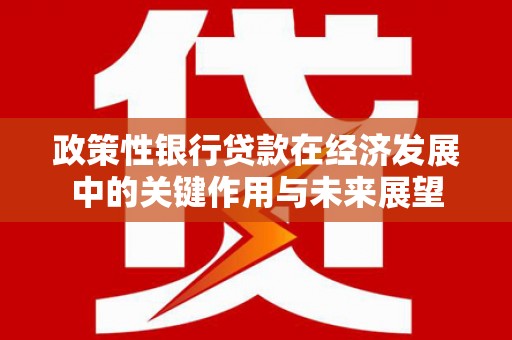 雨山政策性银行贷款在经济发展中的关键作用与未来展望