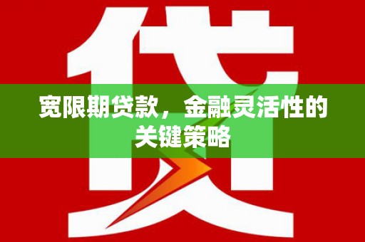 山南宽限期贷款，金融灵活性的关键策略