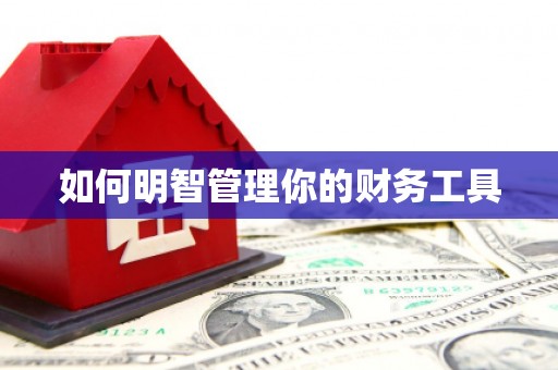 周至如何明智管理你的财务工具