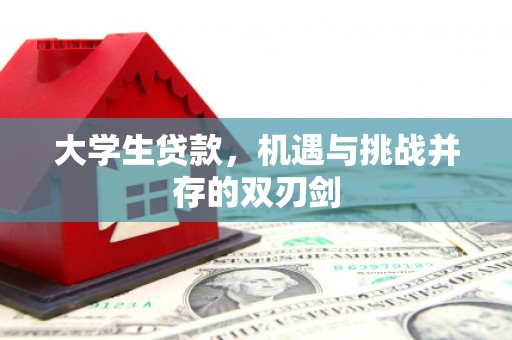 城中大学生贷款，机遇与挑战并存的双刃剑