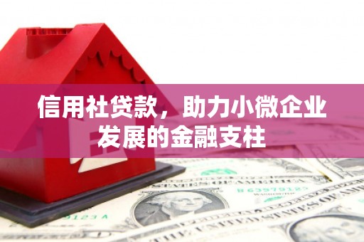裕华信用社贷款，助力小微企业发展的金融支柱