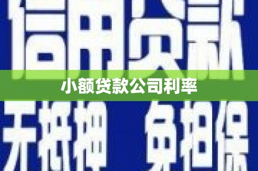 肥乡小额贷款公司利率