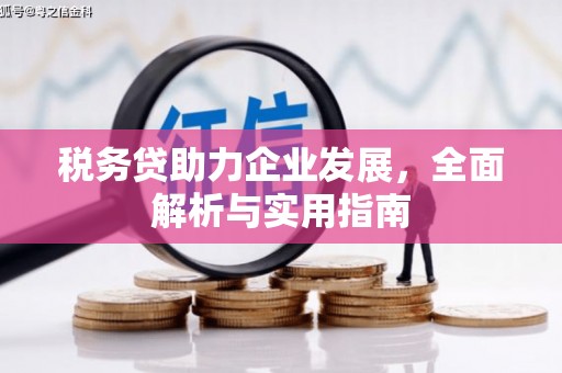 凤泉税务贷助力企业发展，全面解析与实用指南
