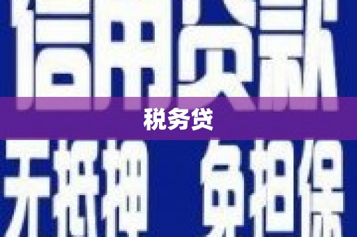 新会税务贷
