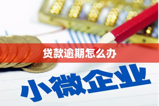 睢阳贷款逾期怎么办
