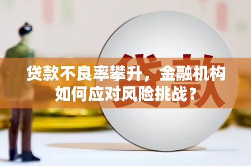 红寺堡贷款不良率攀升，金融机构如何应对风险挑战？