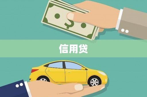 崖州信用贷