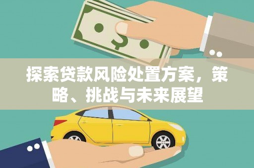 顺河探索贷款风险处置方案，策略、挑战与未来展望