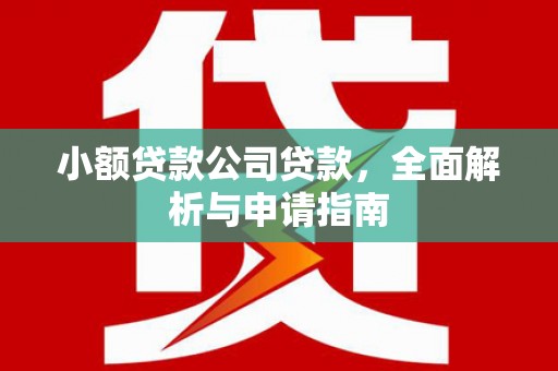 万荣小额贷款公司贷款，全面解析与申请指南