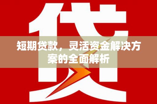 民和短期贷款，灵活资金解决方案的全面解析