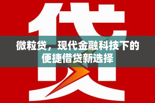 雨山微粒贷，现代金融科技下的便捷借贷新选择