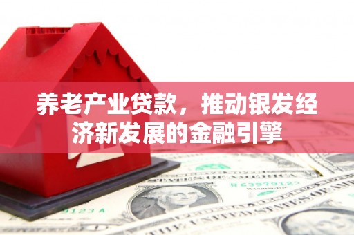 刚察养老产业贷款，推动银发经济新发展的金融引擎