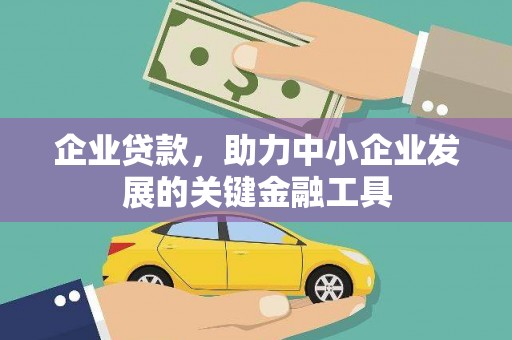 镇远企业贷款，助力中小企业发展的关键金融工具