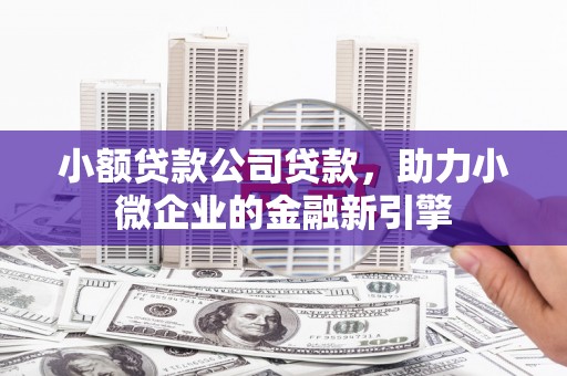 稻城小额贷款公司贷款，助力小微企业的金融新引擎
