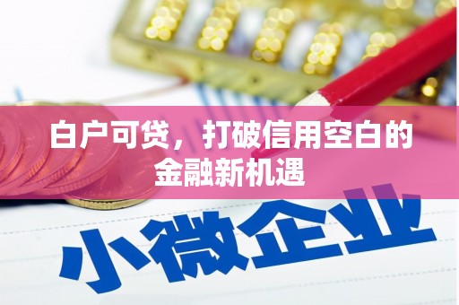 桐庐白户可贷，打破信用空白的金融新机遇