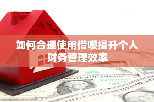 雾峰如何合理使用借呗提升个人财务管理效率