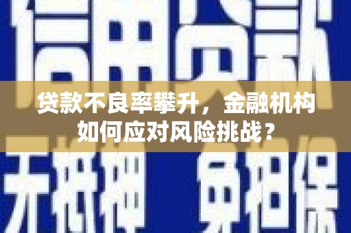 东明贷款不良率攀升，金融机构如何应对风险挑战？
