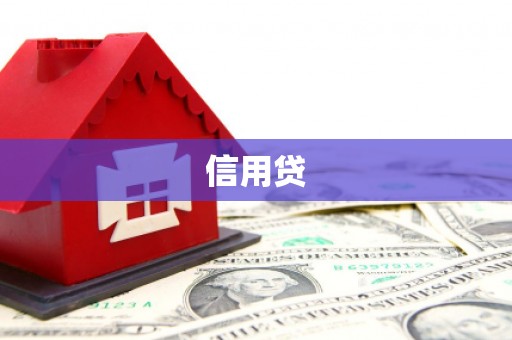 新建信用贷