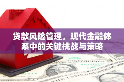 鼓山贷款风险管理，现代金融体系中的关键挑战与策略