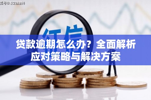 太和贷款逾期怎么办？全面解析应对策略与解决方案