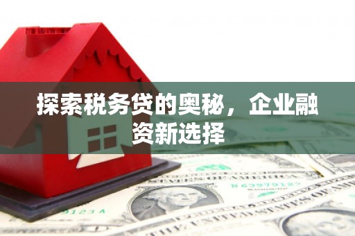 宁安探索税务贷的奥秘，企业融资新选择