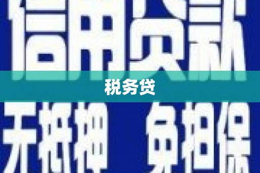 观音税务贷