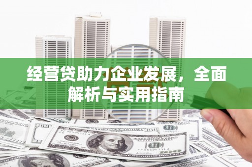 新店经营贷助力企业发展，全面解析与实用指南