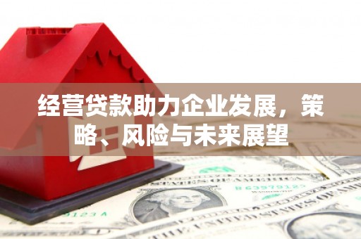 万柏林经营贷款助力企业发展，策略、风险与未来展望