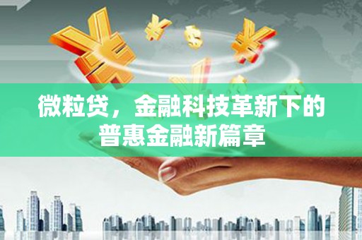 界首微粒贷，金融科技革新下的普惠金融新篇章