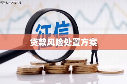 河南贷款风险处置方案