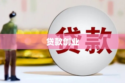 巴马贷款创业