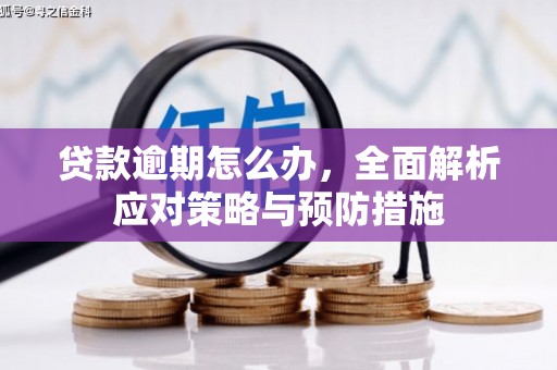 周口贷款逾期怎么办，全面解析应对策略与预防措施
