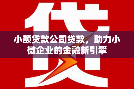 邵阳小额贷款公司贷款，助力小微企业的金融新引擎