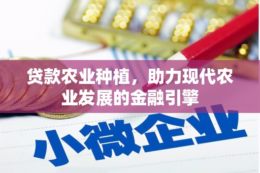 双桥贷款农业种植，助力现代农业发展的金融引擎