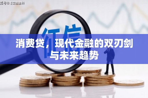 永定消费贷，现代金融的双刃剑与未来趋势