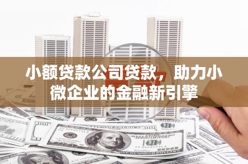 寿丰小额贷款公司贷款，助力小微企业的金融新引擎