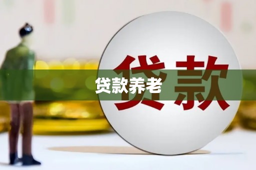 云和贷款养老