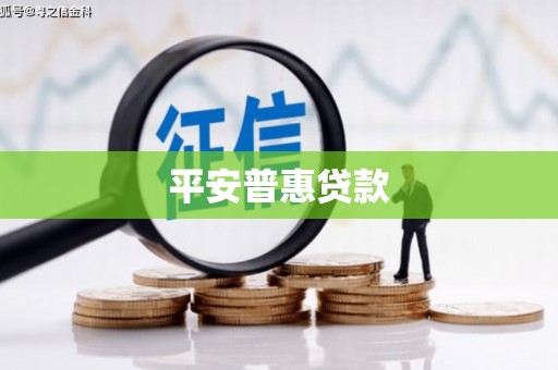 保康平安普惠贷款