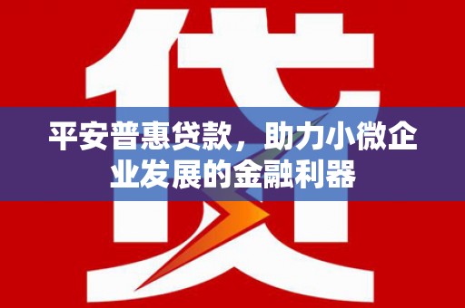 丰宁平安普惠贷款，助力小微企业发展的金融利器