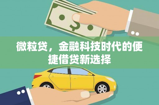 南山微粒贷，金融科技时代的便捷借贷新选择