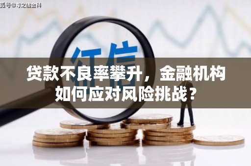 措勤贷款不良率攀升，金融机构如何应对风险挑战？
