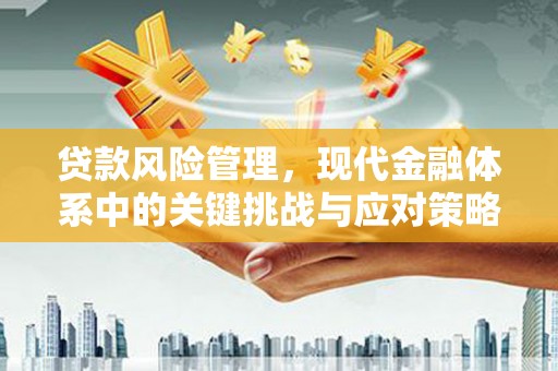 新疆贷款风险管理，现代金融体系中的关键挑战与应对策略