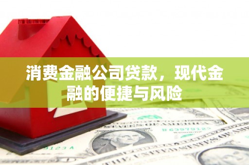 丰城消费金融公司贷款，现代金融的便捷与风险