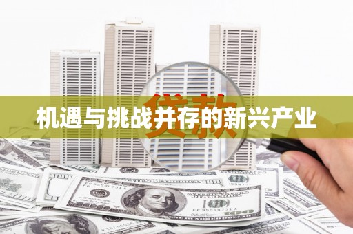 姚安机遇与挑战并存的新兴产业