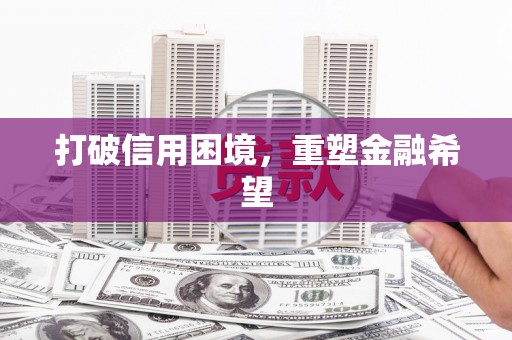 巴青打破信用困境，重塑金融希望