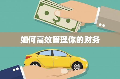 湖内如何高效管理你的财务